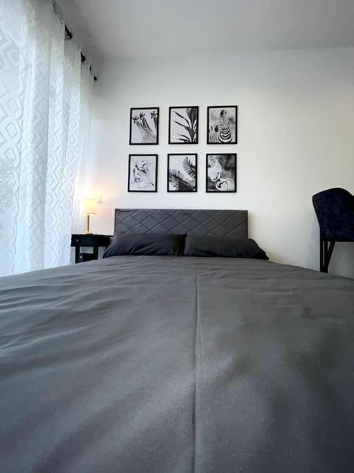 Bahnhofsapartment Loerrach المظهر الخارجي الصورة